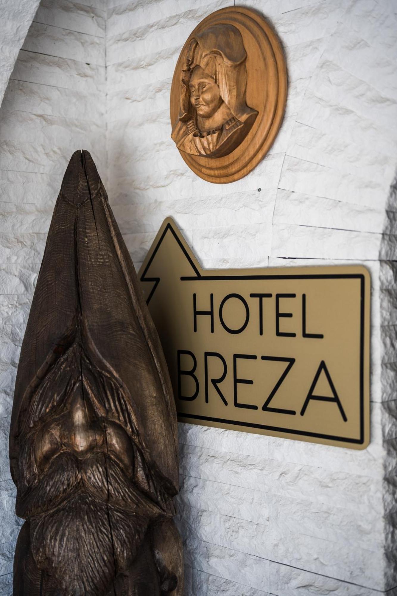 Breza Hotel Borowec Zewnętrze zdjęcie
